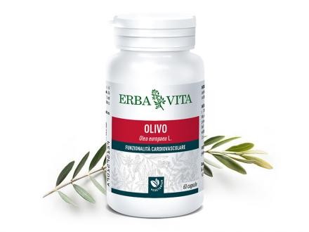 Natur Tanya® E. Mikronizált Olajfalevél kapszula - 3 szabadalommal védett! Immunrendszer, allergia, asztma, vérnyomás.